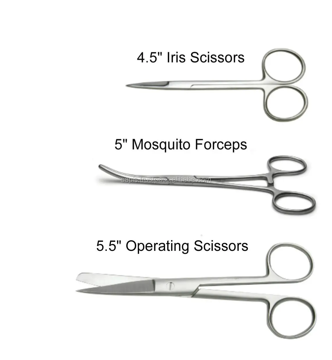 frog dissection tools