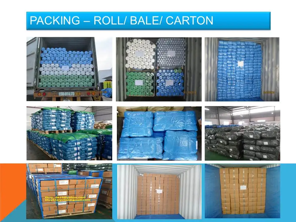 Sky Blue Tarpaulin 45 Gsm Waterproof & Light Duty Buy Merry