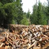 Dry Firewood/ Oak /Pine/And Beech Firewood Logs