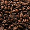 coffee bean- High Quality Arabica Robusta Coffee Beans, arabica coffee beans