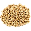 High Quality Organic Coriander Seeds/Corainder Seed (Dhania).
