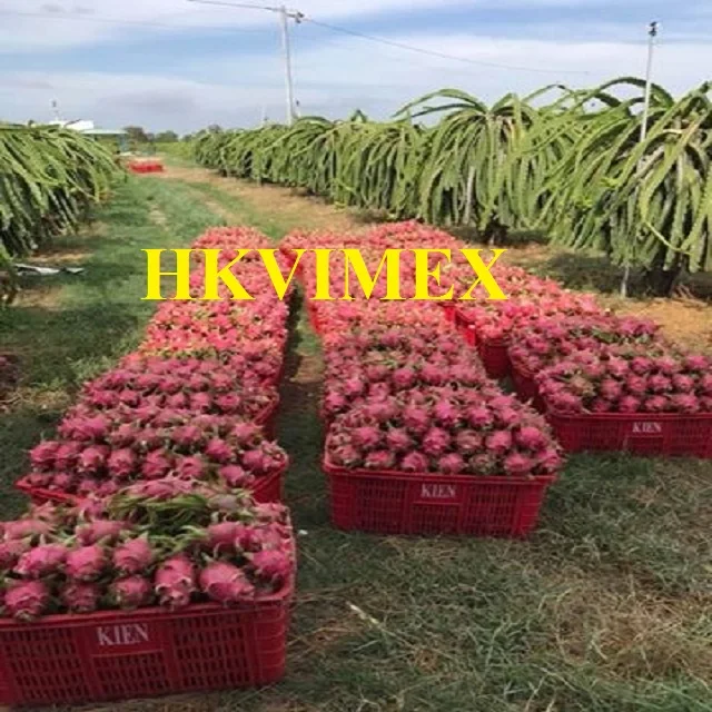 f.jpg