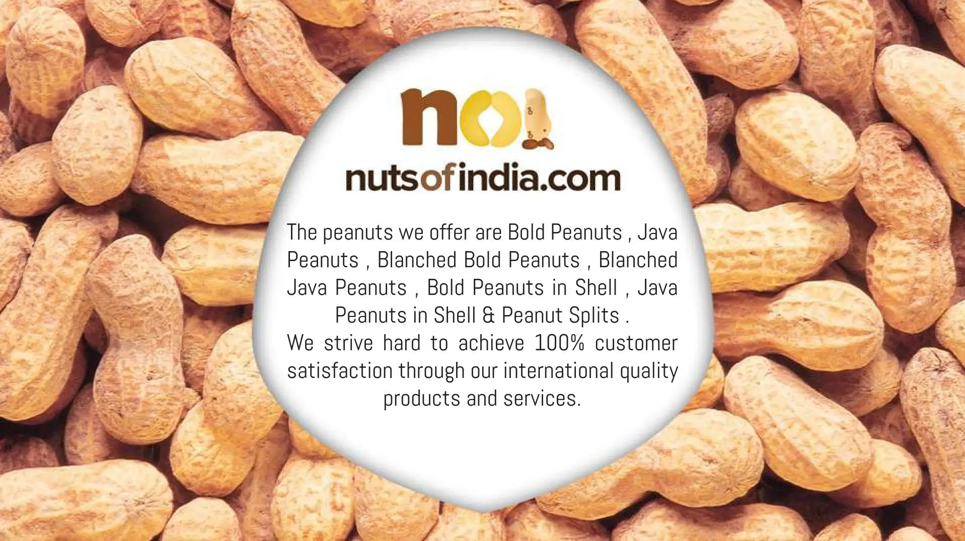 peanut details 2.jpg