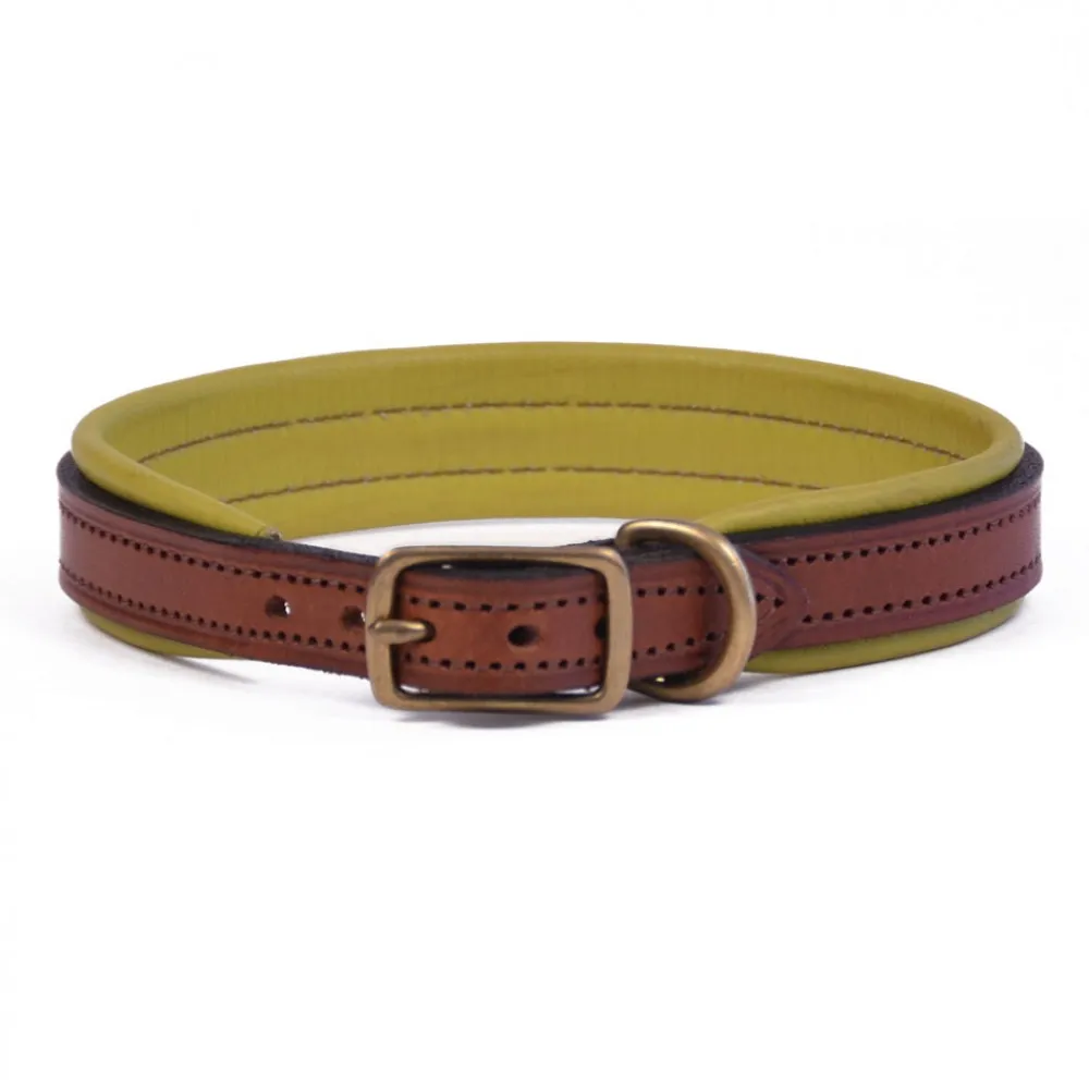 dog collar with buckle closure