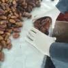 DATES