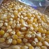 Yellow Corn For Human And Animal feed