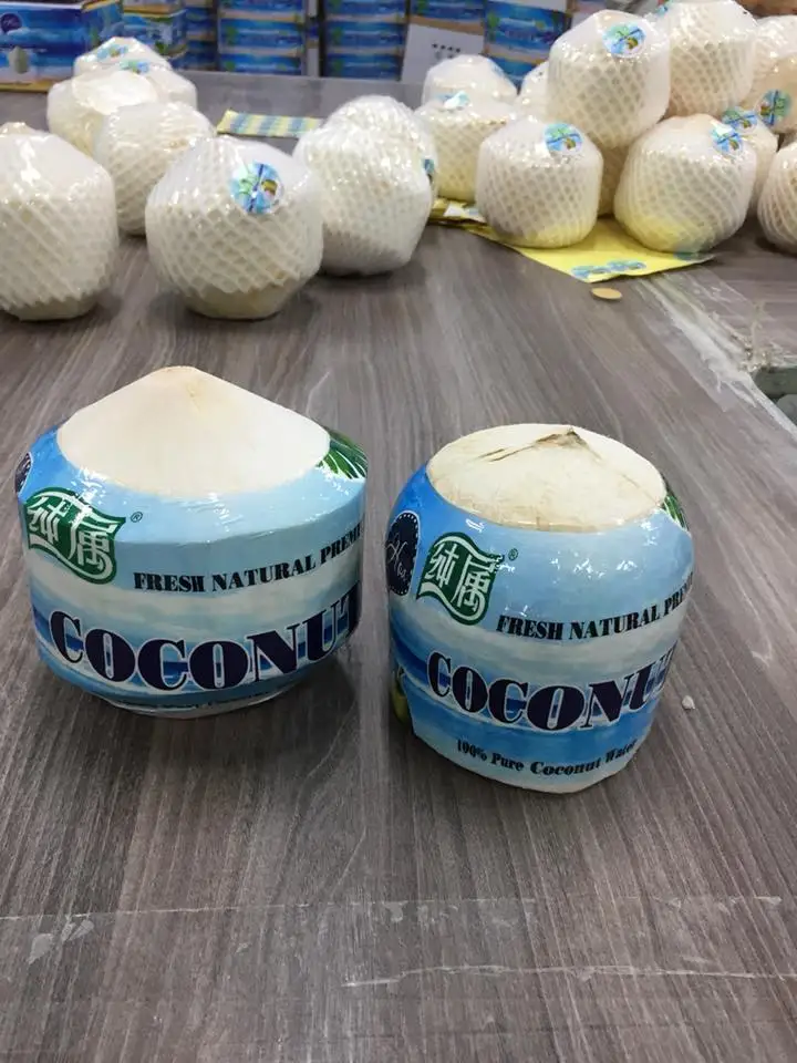 Supply Fresh Coconut Buy Fresh Coconuts For Sale,Fresh Mature Coconut