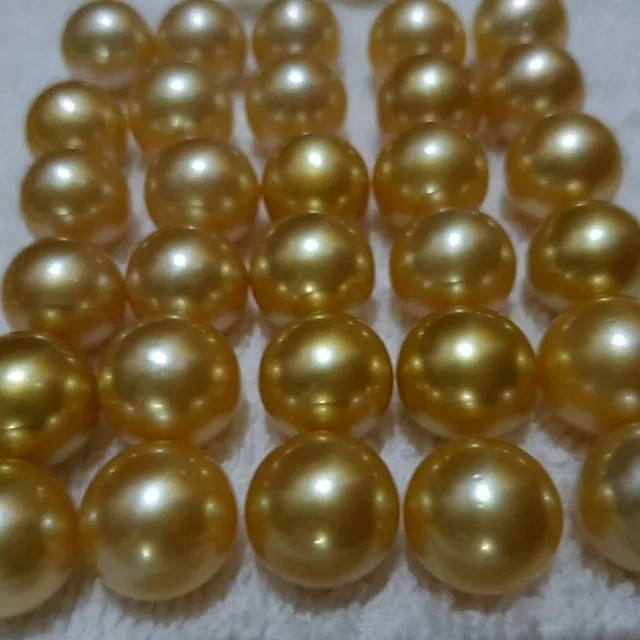 15-16毫米 aaa 级高品质南海金色天然松散珍珠