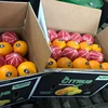 FRESH CLASS 1 YELLOW Valencia orange
