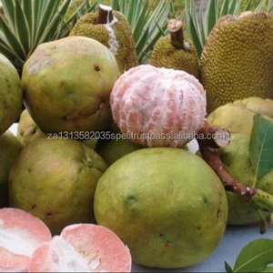 quality citrus pomelo fruits
