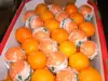 Citrus Fruits/Mandarin Orange/Fresh Orange