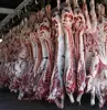 Halal Frozen Beef Carcass / Frozen beef feet / Frozen beef Head
