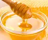100% Original Pure Stingless Bee Honey, HALAL Certified, GMP (in bulk, 40kg container)