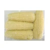 FROZEN BOILED CORN WITH COMPETITIVE PRICE FOR IMPORTERS OF DOMESTIC AND FOREIGN