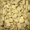 Robusta Coffee Beans - Best Quality and Price - FREE SAMPLES