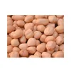 Good Quality Groundnut Kernels Peanuts Supplier from India