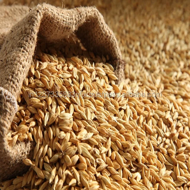 barley (4) - Copy.jpg