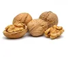 Wholesale export quality products walnuts kernel