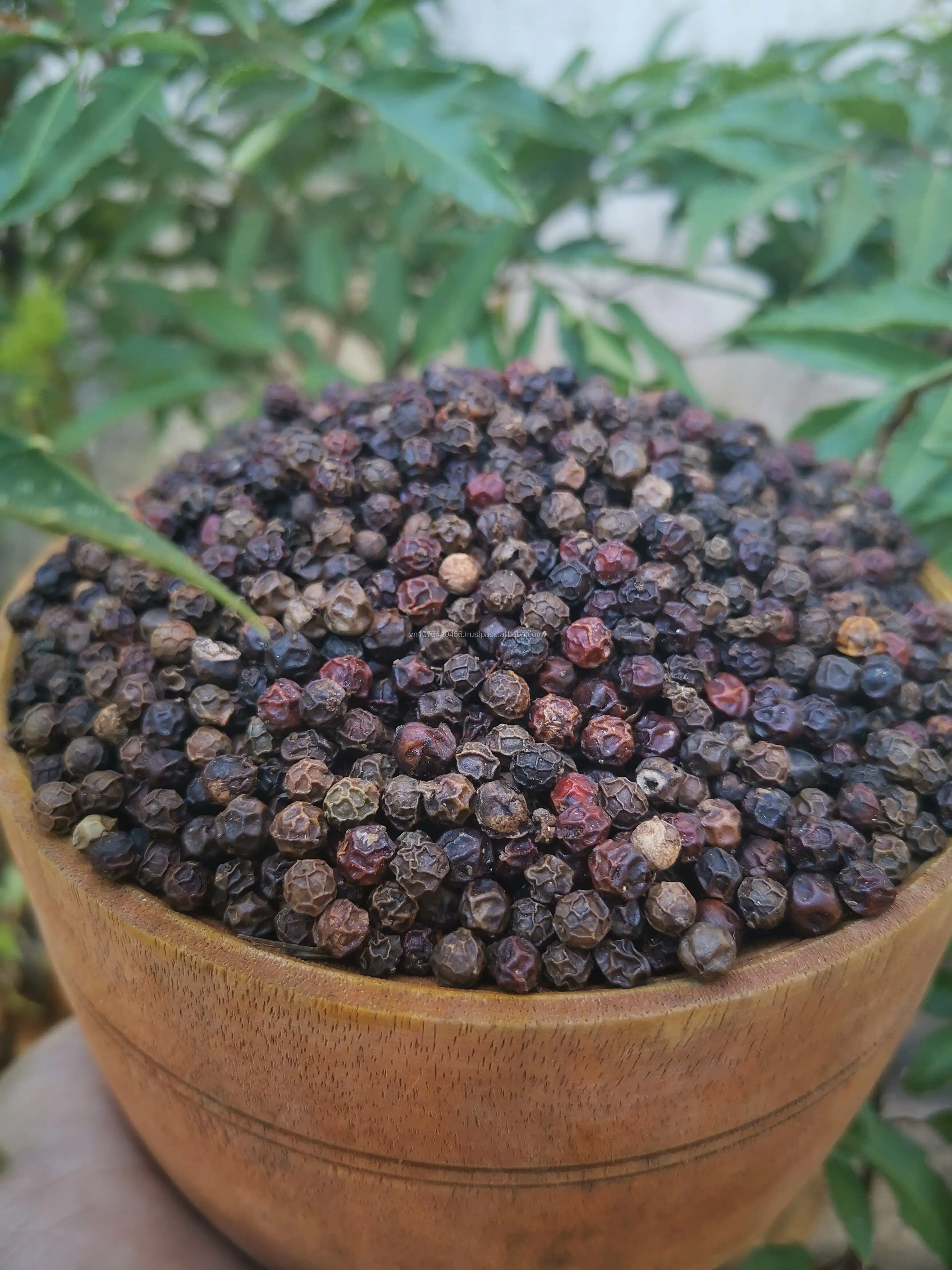 越南黑胡椒 500 gl 清洁 asta 机器清洁 --- [wp 0084 989322607]