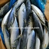 /product-detail/frozen-pacific-mackerel-fish-50038826381.html