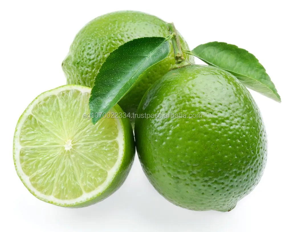 Fresh Egyptian LEMON - lime