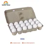 White Shell Eggs from India