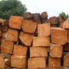 Cheap AFRICAN MAHOGANY ,EBONY ,SAPELLI LOGS AND SAWN
