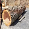 Quality Round logs - Black Walnut Logs / Ukraine Wood Logs