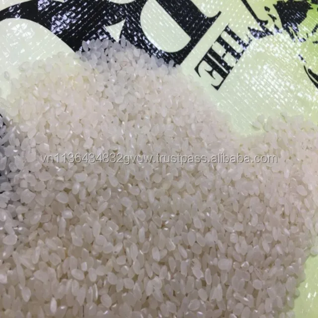 JAPONICA 2% BROKEN 68.jpg