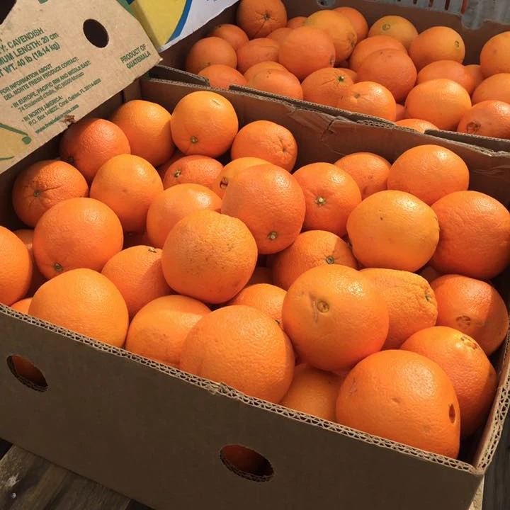 Fresh Tangerine Mandarin Orange For Sale,Fresh Cheap Mandarin Orange