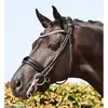 CROWN ENVY ME ROLLED DOUBLE BRIDLE IN BLACK/BLACK/PATENT WITH ELEMENTS.