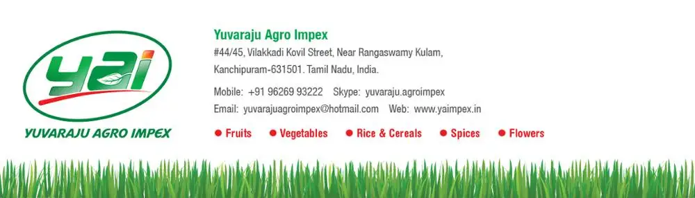 YAI_Email Signature.jpg