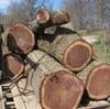 african timber logs for sale at very good price