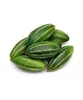 100% Export Quality Oriented Pointed Gourd Vegetables for Wholesale
