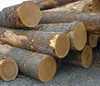 TIMBER LOGS OF OAK/BEECH/ASH