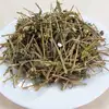 Solanum erianthum hainanense/ hance solanaceae/ organic herbal leaves