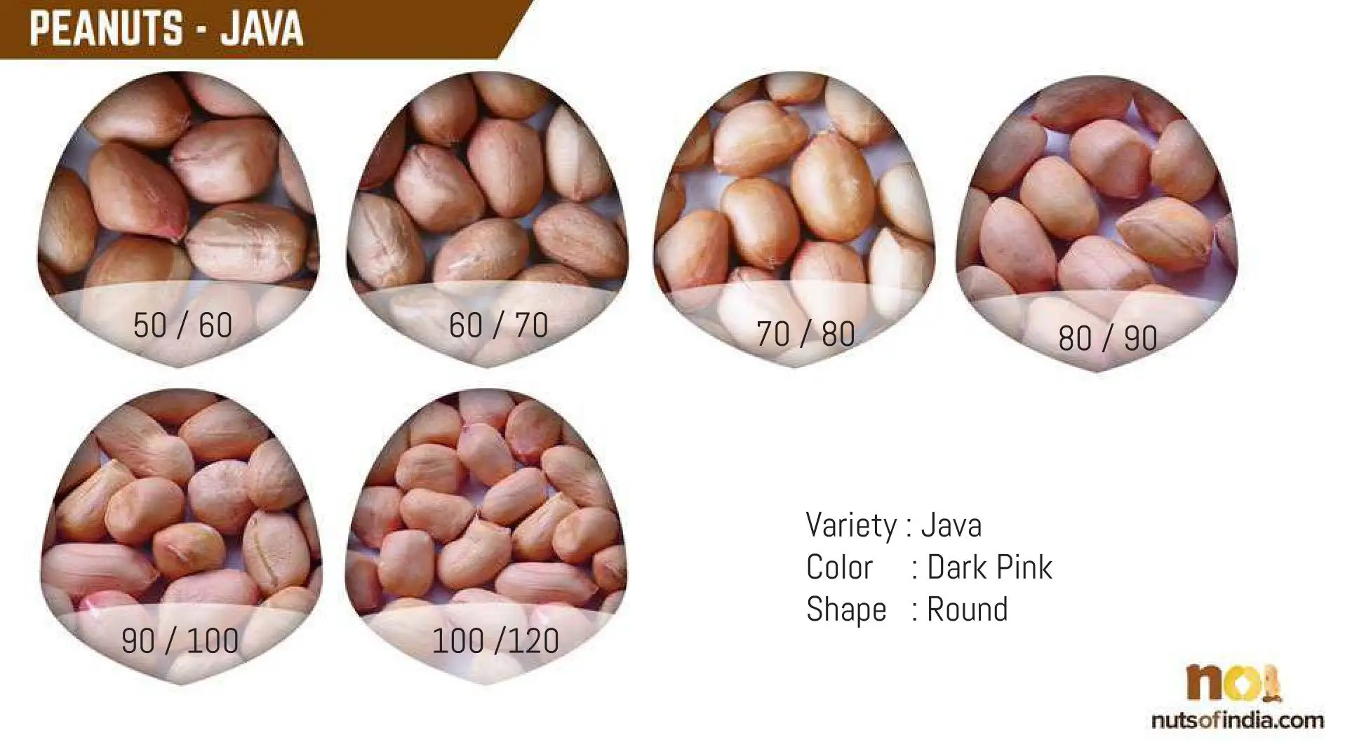 peanut variety 3.jpg