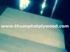 CHEAP LVL PLYWOOD/LVL TIMBER FOR CONSTRUCTION & PACKING FACTORY