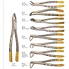 Dental Instruments Tooth Extracting Forceps , Dental Extraction Pliers , Surgical Tooth Extracting Forceps Gold Plated