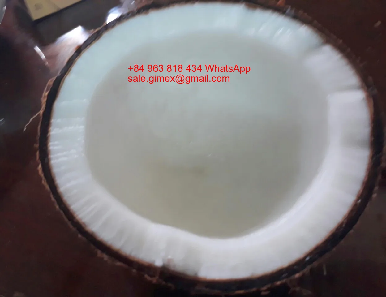 Kelapa Tua Kelapa Matang 84963818434 Whatsapp Buy Kelapa Tua Semi Dikupas Kelapa Penuh Dikupas Kelapa Product On Alibaba Com
