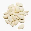 /product-detail/pumpkin-seed-50045279962.html
