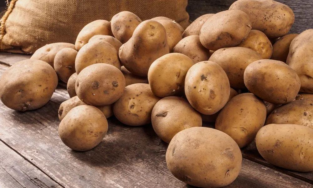 Small Potato From Vietnam (whatsapp +84 845 639 639)// In 2020 Buy