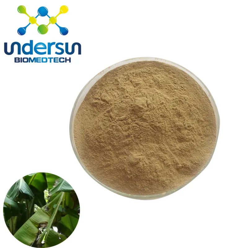 Factory Supply Banana Leaf Extract Powder Corosolic Acid Buy Banana