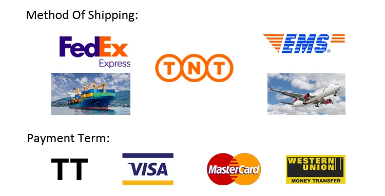 Payment Term & Transport