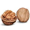 walnut, walnut in shell, walnut kernel