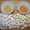 Popcorn Kernels / Popcorn Seeds/ Butterfly Popcorn, Mushroom Popcorn