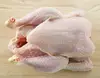 2019 Frozen Quality Frozen Brasil Halal chicken Meat / Fresh / Frozen / Processed Chicken Feet / Paws / Claws Cheap Price