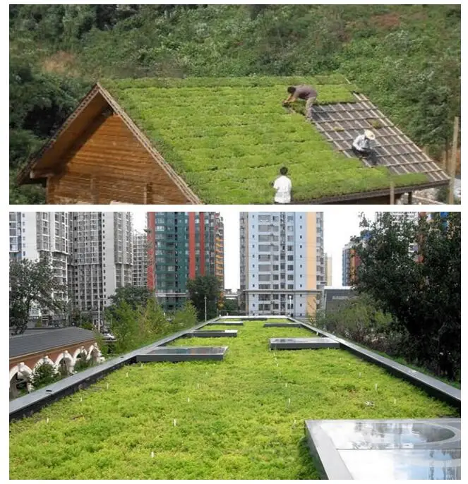 Green Roof System Plastic Trays