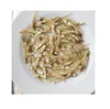 DRIED ANCHOVY - DRIED BOILED ANCHOVY UNDER SUNSHINE WITH THE BEST PRICE