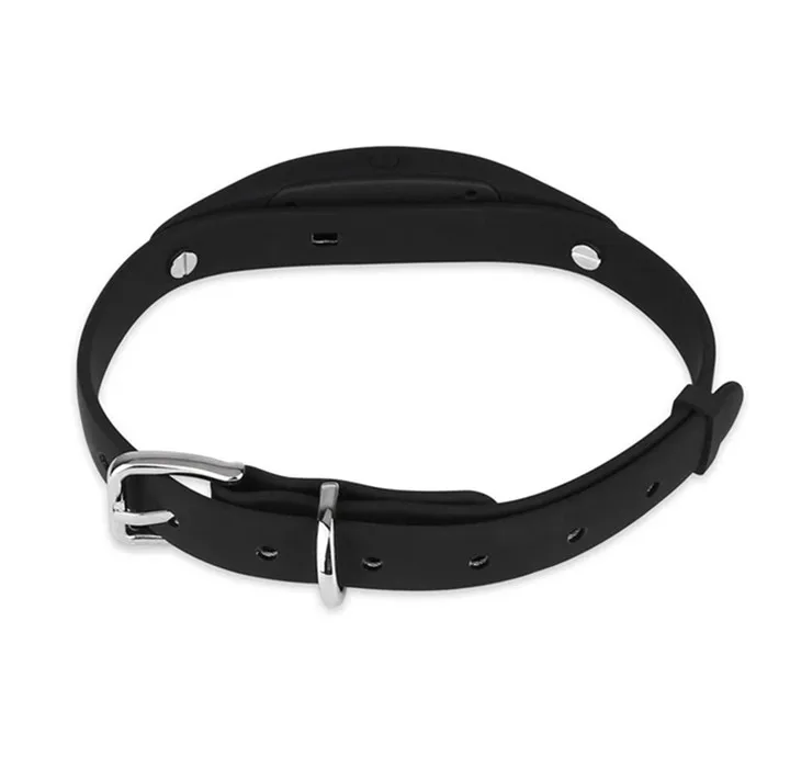 2g Best Sell Stock Antilost Dog Gps Collar Adjustable Pet Silicone